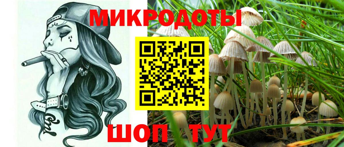 Псилоцибиновые грибы Cubensis  где найти   Мурино  Вход с VPN 