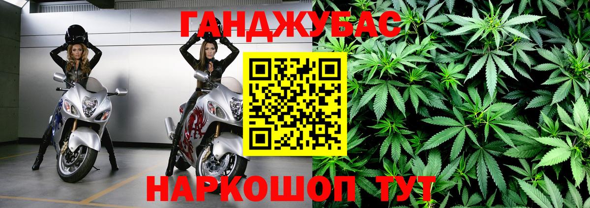 Бошки Шишки планчик Мурино